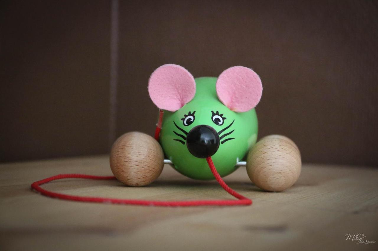 Gite De La Souris Verte Molamboz Exterior photo